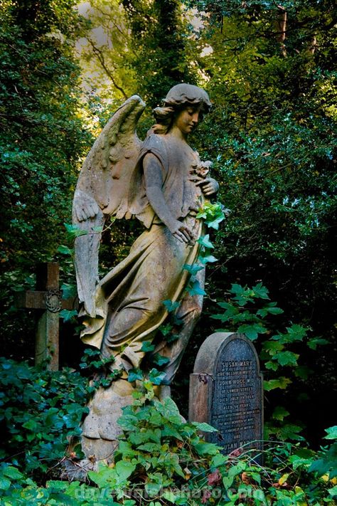 Angel Statue, Highgate Cemetery Cemetary Statue, Grave Statues, Highgate Cemetery London, Cemetery Angels, Highgate Cemetery, Cemetery Statues, Angel Statue, Angel Sculpture, Old Cemeteries