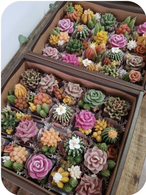 Deco Cupcake, Succulent Cupcakes, Savory Cakes, Succulent Cake, Cactus Cake, Torte Cupcake, Types Of Succulents, Cupcake Bouquet, Flower Cupcakes