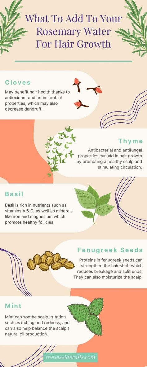 infographic showing best herbs to include in rosemary water for hair growth (cloves, thyme, basil, fenugreek, mint) Thyme Water For Hair Growth, Rosemary Recipes For Hair, Herbal Rinses For Hair, Rosemary Clove Water For Hair Growth, How To Make Rosemary Water For Hair, Fenugreek Water For Hair Growth, Clove Water For Hair Growth, Rosemary Care, Cloves For Hair Growth