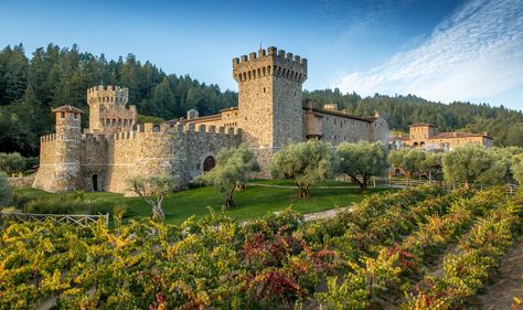 Beautiful Napa and Sonoma Winery Castles | Wine Country Table Napa Valley Vacation, Napa Trip, Sonoma Wineries, Napa Wineries, Napa Valley Wineries, Napa Valley Wine, Winery Tours, Wine Country California, Samos