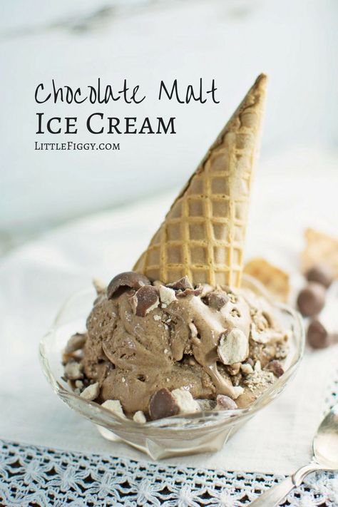 Malted Ice Cream, Chocolate Malt Ice Cream, Chocolate Malted Crunch Ice Cream, Chocolate Malt Ice Cream Recipe, Malt Ice Cream Recipe, Chocolate Ice Cream Recipes, Malt Ice Cream, Pudding Ice Cream Recipe, Fudge Popsicles