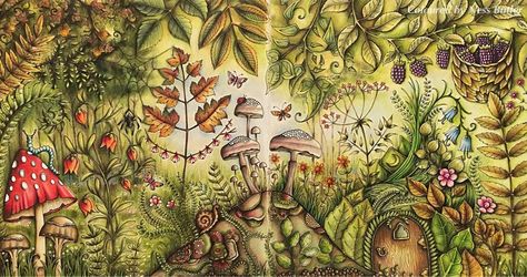 Secret Garden Coloring Book Finished, Enchanted Forest Coloring Book Johanna Basford, Magical Jungle Johanna Basford, Forest Coloring Book, Forest Coloring, Basford Enchanted Forest, Basford Secret Garden, Enchanted Forest Coloring Book, Joanna Basford Coloring