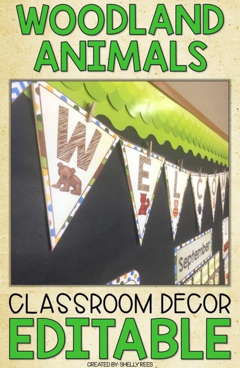 Animals Classroom Theme, Woodland Animals Classroom, Preschool Decorations, Forest Theme Classroom, Animal Classroom, Preschool Classroom Themes, Forest Classroom, Homeschool Space, Forest Animals Theme