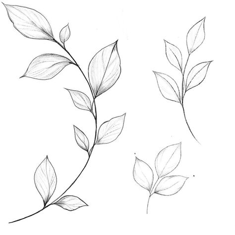 Blatt Tattoos, Vine Drawing, 심플한 그림, Minimal Tattoo Design, Floral Logo Design, Vine Tattoos, Plant Tattoo, Flower Sketches, Leaf Drawing