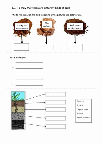 Layers Of soil Worksheet Beautiful soils Worksheet by Rachdf – Chessmuseum Template Library Soil Worksheet, Layers Of Soil, Ag Education, Earth Layers, Agriculture Education, Soil Layers, Science Worksheets, School Worksheets, Reading Comprehension Worksheets