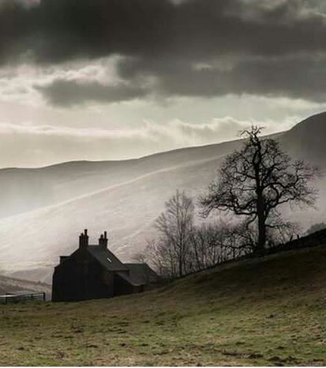 Scotland, highlands, mist Landscape Cottage, Scotland Forever, Ireland Landscape, Voyage Europe, England And Scotland, To Infinity And Beyond, Scotland Travel, British Isles, Scottish Highlands