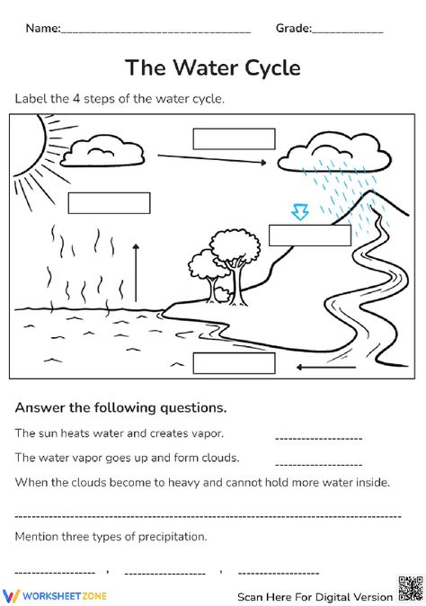 There are four steps in the water cycle. Explore it with this engaging worksheet right now! #watercycle #science #diagrams #water #environment #stages #livingthings #pdfs #worksheets #printables #answerthequestions #labelling #process #steps Teaching The Water Cycle, The Water Cycle Worksheet, Water Cycle Grade 2, Sources Of Water Worksheet, Water Cycle Lesson Plans, Water Cycle Process, Water Cycle Lessons, Rain Cycle, Homeschooling 2nd Grade