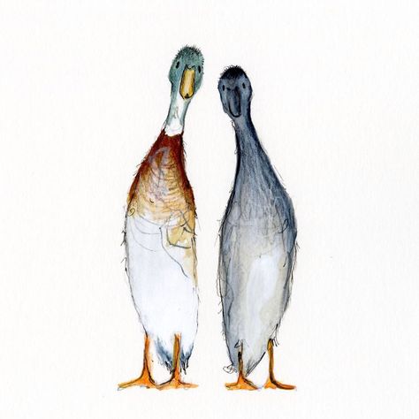 Runner Ducks Drawing, Runner Duck Painting, Runner Duck Illustration, Indian Runner Duck Drawing, Runner Duck Tattoo, Runner Duck Drawing, Duck Painting Easy, Watercolor Ducks, Indian Runner Ducks