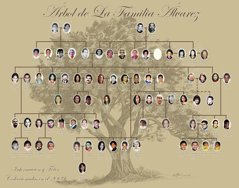 extended family tree | Digital Scrapbooking at Scrapbook Flair Family Tree Examples, Family Tree Layout, Free Family Tree Template, Family Tree Book, Genealogy Tree, Family Tree Designs, Family Tree Research, Ancestry Family Tree, Family Tree Art