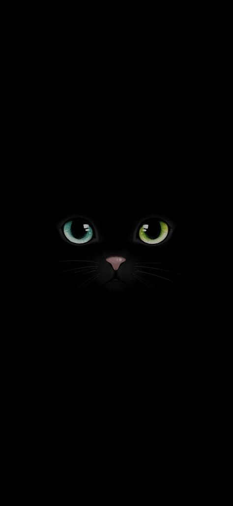 Phone Cat Wallpaper, Ip Wallpaper, Black Cat Wallpaper, Ips Wallpapers, Black Cat Lover, Eyes Wallpaper, Black Cat Art, Black Cat Eyes, Wallpaper For Your Phone