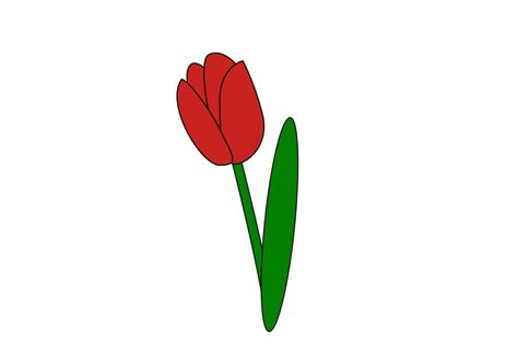 How to Draw a Tulip in 6 Simple Steps Draw A Tulip, Spring Wedding Centerpieces, Tulip Drawing, Most Popular Flowers, Spring Red, How To Teach Kids, Popular Flowers, White Tulips, Red Tulips