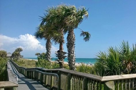 Englewood Beach - 2020 All You Need to Know BEFORE You Go (with Photos) - Tripadvisor Englewood Florida, New Years Eve Wedding, Beach Road, Boat Party, All I Ever Wanted, Beach Weddings, Florida Vacation, Best Fishing, Venice Beach