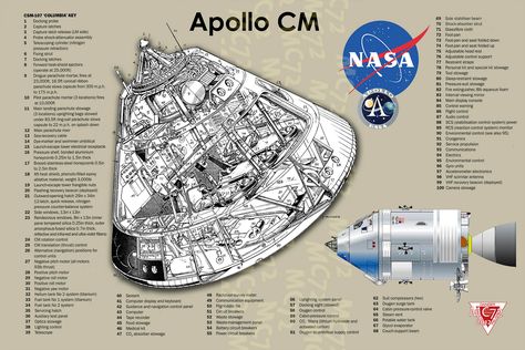 Apollo spacecraft, Rockwell / NASA (1966-1975) | Frank Munge… | Flickr Apollo Spacecraft, Apollo Space Program, Nasa Space Program, Nasa History, Apollo Program, Nasa Space Shuttle, Nasa Apollo, Apollo Missions, Moon Missions