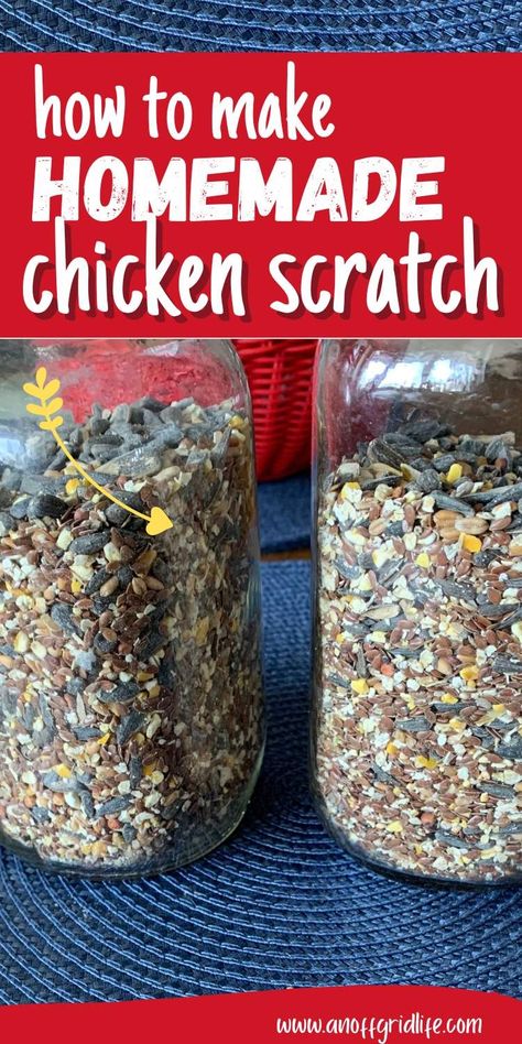 Homemade Chicken Scratch Recipe - An Off Grid Life Natural Chicken Feed, Chicken Feed Diy, What Can Chickens Eat, Chicken Hut, Food For Chickens, Homemaking Skills, Black Oil Sunflower Seeds, Chicken Keeping, Backyard Chicken Farming