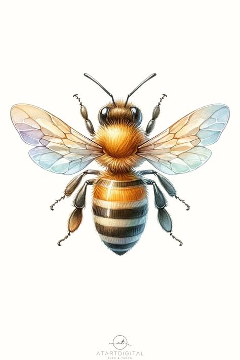 Honeycomb And Bees Drawing, Bee Art Drawing, Bee Design Art, Bee Graphic Design, Honey Bee Images, Honey Bee Pictures, Bee Pictures Art, Drawing Insects, Painted Bee Hives