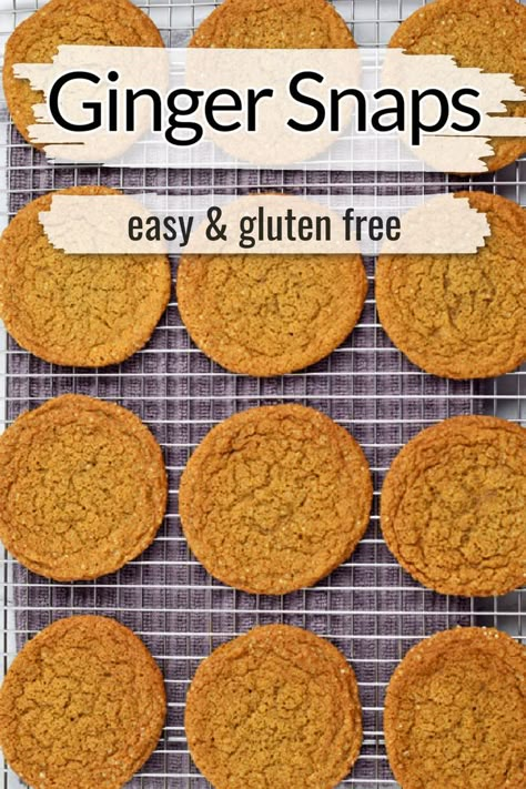 Gluten Free Ginger Snaps Crispy, Gluten Free Crispy Cookies, Gluten Free Ginger Snap Cookies, Paleo Ginger Snaps, Gluten Free Christmas Baking, Gluten Free Ginger Cookies, Gluten Free Ginger Snaps, Gluten Free Cookie Recipe, Gluten Free Holiday Cookies