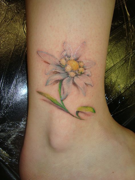 Edelweiss.... guess what song i was singing the whole time??? | Flickr - Photo Sharing! Edelweiss Tattoo, Watercolor Tattoo Flower, Tasteful Tattoos, Pattern Tattoo, Foot Tattoos, Skin Art, Love Tattoos, Pretty Tattoos, Tattoo You