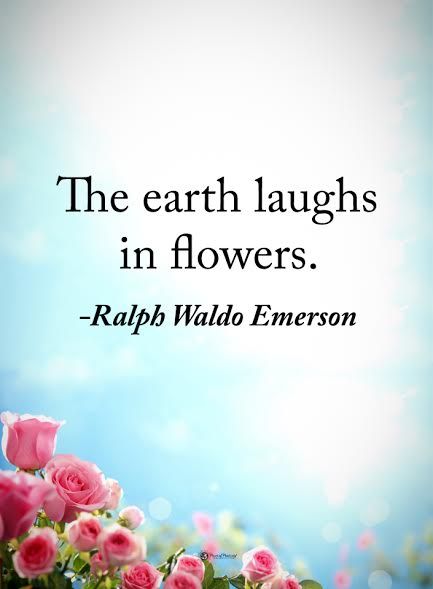 The earth laughs in flowers. Ralph Waldo Emerson Happy Flower Quotes, Beautiful Flower Quotes, Chalkboard Projects, The Earth Laughs In Flowers, Earth Laughs In Flowers, Emerson Quotes, Garden Works, Garden Quotes, Outdoor Quotes