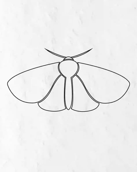 Embroidered Insects, Butterfly Stencils, Moth Drawing, Simple Flower Drawing, Moth Illustration, Dibujo Simple, Moth Wings, Wings Drawing, Moth Art