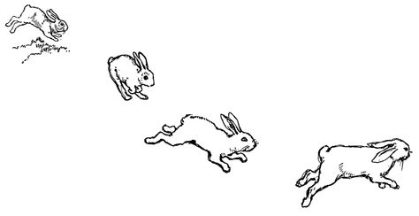 Rabbits Three Rabbits, Hopping Bunny, Bunny Jump, Running Drawing, Rabbit Jumping, Bunny Coloring, Rabbit Clipart, Pages To Color, Rabbit Drawing