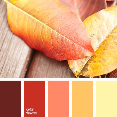 bright red, brown color, burgundy color, color matching, fall color matching, orange color, pale yellow, palette for fall, red color, saffron color, shades of autumn, shades of yellow. In Color Balance, Autumn Tones, Color Palette Ideas, Wall Living Room, Orange Color Palettes, Red Colour Palette, Warm Palette, Palette Ideas, Fall Color Palette