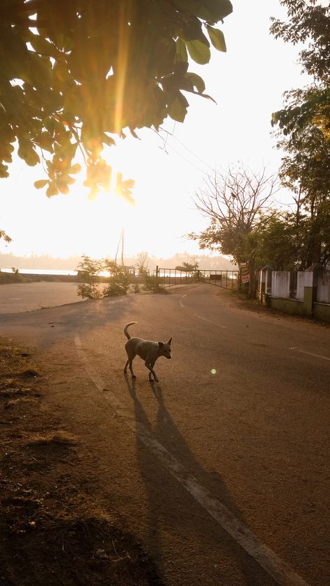 Morning lights Morning Vibes Snap, Morning Snapchat, Morning Snap, Birthday Quotes Funny For Him, Best Snapchat, City Vibes, Sky Photography Nature, 90s Bollywood, Best Friend Gifs