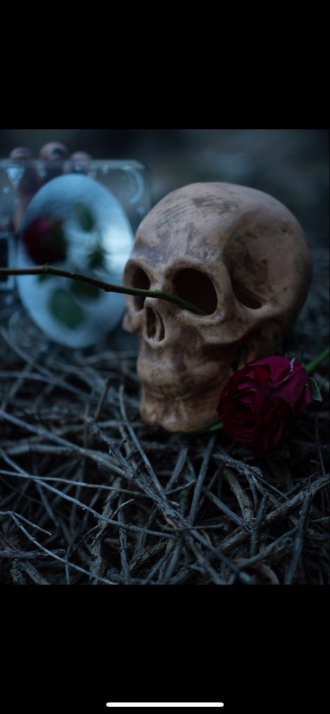 #rose #skull #gothicstyle #graveyard #darkcore #aesthetic #wallpaper Darkcore Aesthetic Wallpaper, Darkcore Aesthetic, Aesthetic Skull, Rose Skull, Graveyard, Gothic Fashion, Dark Aesthetic, Aesthetic Wallpaper, Valentines Day