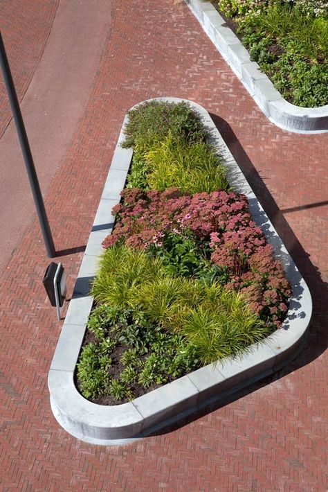 Easy Landscaping, Raised Planter, Landscape Architecture Design, Urban Furniture, Landscaping Supplies, Landscaping Tips, Contemporary Interior Design, Landscape Projects, Contemporary Landscape