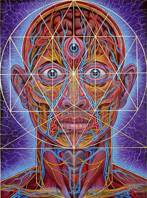 "Human Geometry" by Alex Grey Alex Grey Paintings, Alex Gray Art, Truth Teller, Grey Artwork, Gray Art, Alex Grey, Sacred Geometry Art, Psy Art, Cosmic Art