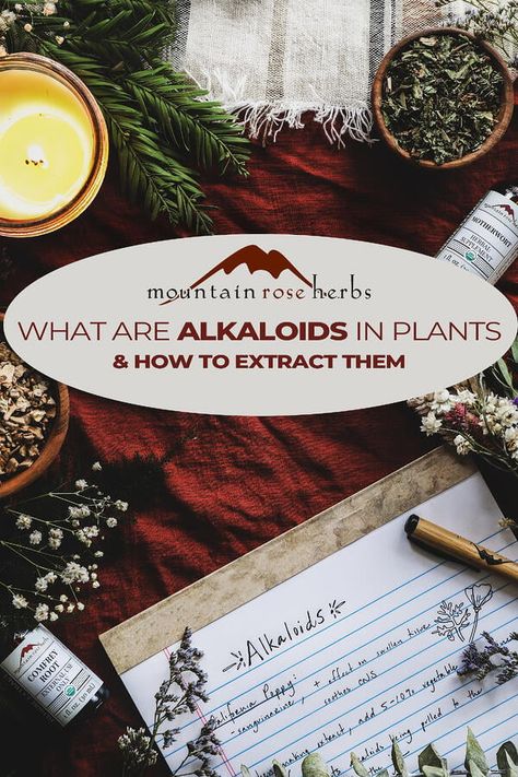 What Are Alkaloids in Plants & How to Extract Them Botanical Apothecary, Green Witchery, Eye Medicine, Osteoporosis Prevention, Witchy Kitchen, Herb Life, Herbal Education, Harvesting Herbs, Mountain Rose