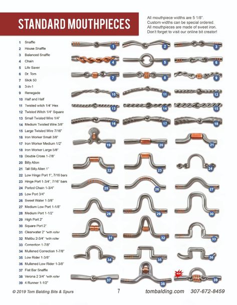 Types Of Horse Bits, Western Riding Tips, Bits For Horses, Horse Lessons, Riding Tips, Horse Exercises, Horse Facts, Horse Care Tips, Horse Info