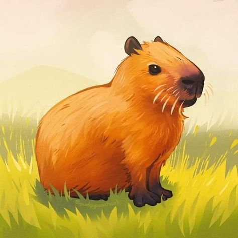 Capybara Wallpaper, Wallpaper Free, Full Hd, To Draw, Wallpapers