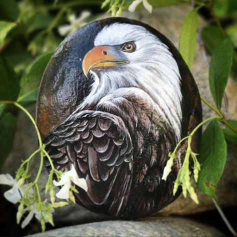 Hand painted Eagle on a rock. By Trinh Baxter #xtrinhx Amazing Realistic Drawings, Eagle Painted Rocks, Eagle Rock Painting, Bird Rock Painting, Rock Animals, Eagle Painting, Painted Rock Animals, Stone Art Painting, Eagle Rock