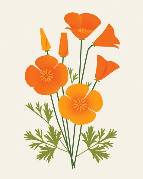 California Poppy Drawing, California Poppy Art, Poppy Drawing, Custom Portrait Illustration, Flowers Images, Beautiful Flowers Images, Flower Collage, Valentines Art, California Poppy