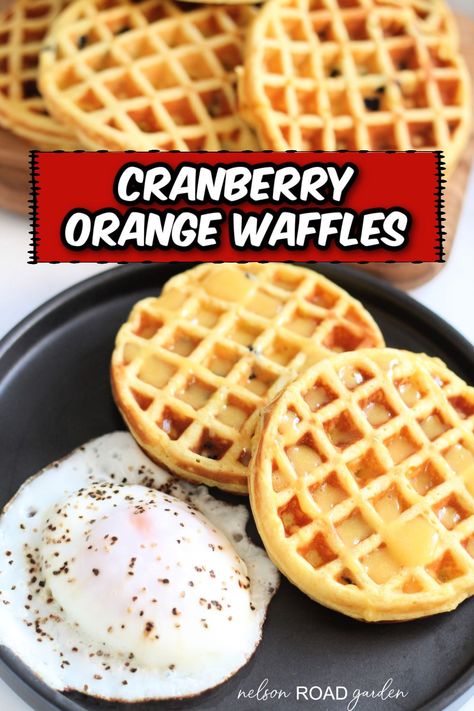 Enjoy a sweet holiday breakfast with these cranberry orange waffles! Full of fruity flavors that pairs great with all your favorite breakfast sides. Orange Waffles, Waffle Truck, Waffle Party, Recipes French Toast, Recipes Waffles, Christmas Waffles, Waffle Ideas, Breakfast Lasagna, French Toast Waffles