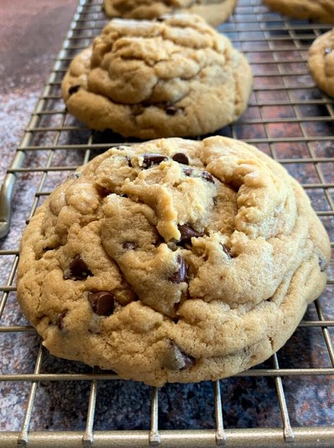 Bakery Style Peanut Butter Chocolate Chip Cookies, Soft And Chewy Peanut Butter Cookies Recipe, Double Peanut Butter Chocolate Chip Cookies, Peanut Butter Cookies Crisco Recipe, Choc Chip Peanut Butter Cookies, Thick Chewy Peanut Butter Cookies, Peanut Butter Chocolate Chip Cookies Soft, Best Peanut Butter Chocolate Chip Cookie, Recipes With Crunchy Peanut Butter