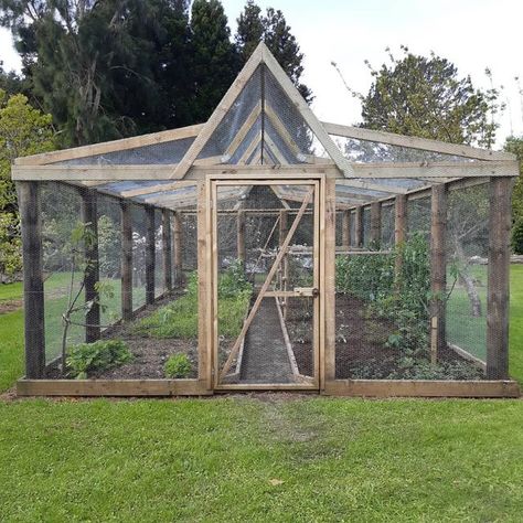 Diana Montgomery on Instagram: "Newly built bird proof enclosure ready for action. Hoping to get a few berries and the odd tomato for ourselves this season #taranakigardenfestival #nzgt #waionganagarden" Berry Enclosure, Mountain Greenhouse, Greenhouse Landscaping, Big Greenhouse, Mountain Landscaping, Raised Garden Bed Corners, Duck Enclosure, Garden Enclosure, Farm Property