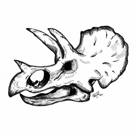 Triceratops Skull Drawing, Dino Skull, Triceratops Skull, Dinosaur Tattoo, Dinosaur Tattoos, Skull Drawing, Drawing Inspo, Embroidery And Stitching, Ink Drawing