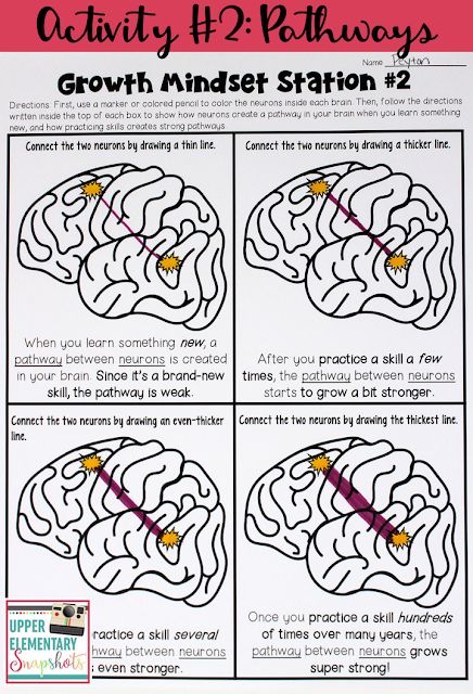 One of five FREE growth mindset learning centers! Students learn how pathways are created between brain neurons... and how practice makes these pathways stronger. Growth Mindset Activities Elementary, Brain Neurons, Fitness Quotes Women, High School Counselor, Elementary School Counselor, Growth Mindset Activities, Elementary School Counseling, Healthy Quotes, Mind Set