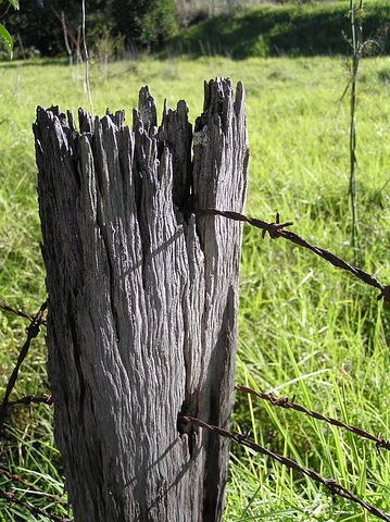 Stone Fence, Country Fences, Rustic Fence, Fence Doors, Living Fence, Concrete Fence, Brick Fence, Pallet Fence, Horizontal Fence