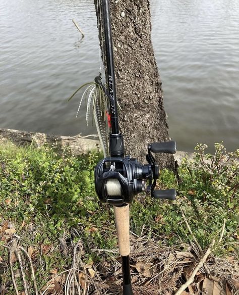 Baitcaster Reels, Bait Caster, Freshwater Fishing, Fishing Rods, 2024 Vision, Country Girl, Caster, Fishing Rod, Country Girls