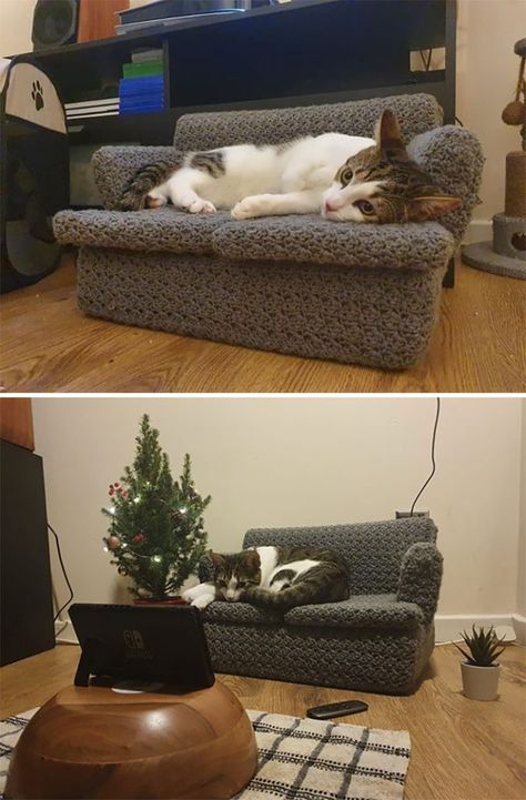 Kitty Couch, Little Sofa, Cat Rooms, Wholesome Cat, Animal Furniture, Pet Crochet, Cat Apartment, Cat Sofa, Cat Couch