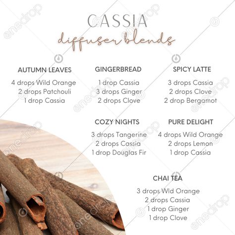 Cassia Diffuser Blends Doterra, Cassia Essential Oil Blends, Cassia Diffuser Blends, Diffuser Blends Young Living, Cassia Essential Oil, Christmas Diffuser Blends, Doterra Oils Recipes, Fall Diffuser Blends, Doterra Diffuser Blends