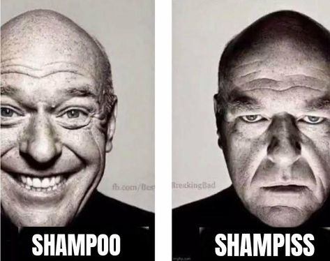 Shampoo / Shampiss | Dean Norris' Reaction | Know Your Meme Dean Norris, Silly Images, Silly Pictures, Know Your Meme, Silly Me, Lose My Mind, Really Funny Pictures, Breaking Bad, Funny Me