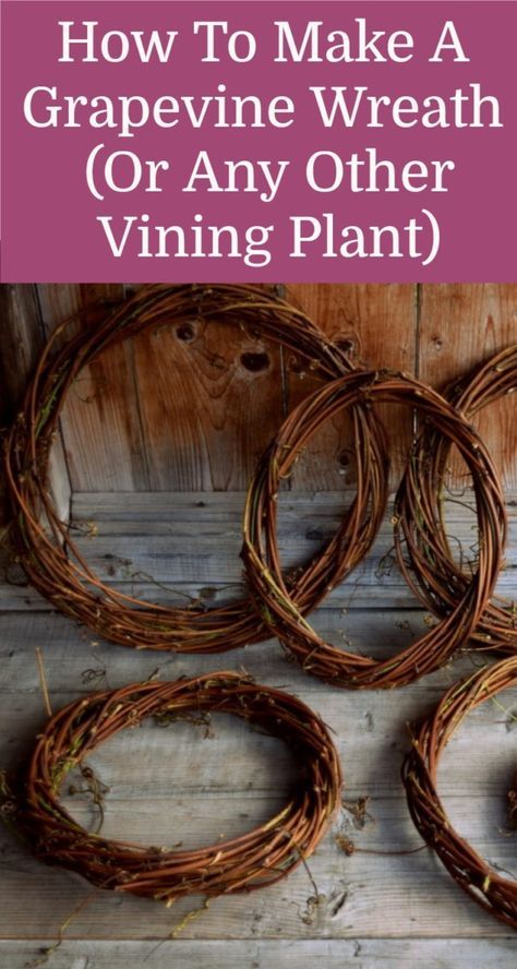 Turn overgrown grapevines (or any other vining plant) into these beautiful wreaths. How To Make Grapevine Wreaths Easy Diy, Vines Berries And Twigs, Grapefine Wreath, Homemade Grapevine Wreath, Grape Wreath Ideas, Grape Vine Projects, Grapevine Ideas Projects, Diy Vine Wreath How To Make, How To Make A Vine Wreath