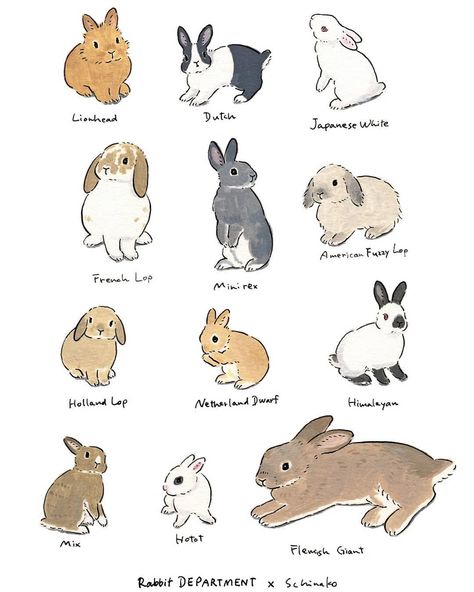 Aww ❤️ I have two bunnies, a French Lop and something else that I can’t identify Schinako Moriyama, Pusheen Wallpaper, Istoria Modei, Bunny Room, Lapin Art, Pet Bunny Rabbits, Bunny Care, Cute Bunny Pictures, Bunny Drawing