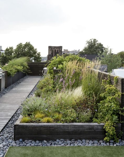 Love the idea of a raised bed of plants (not necessarily edible) with an edge of rocks. Foto from Gardenista (Brooklyn roof garden Julie Farris by Matthew Williams) Pergola Shade Diy, Roof Garden Design, Meadow Garden, Planting Plan, Landscaping Garden, Have Inspiration, Rooftop Garden, Roof Garden, Decor Minimalist