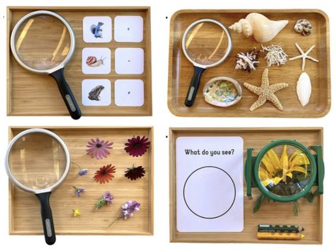 Magnifying glass activity four ways Magnifying Glass Preschool Activities, Microscope Activities For Kids, Magnifying Glass Activities, Montessori Trays, Montessori Science, Halloween Crafts Preschool, Montessori Lessons, Montessori Diy, Preschool Centers