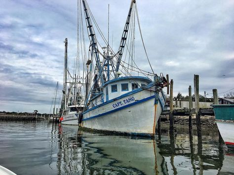 Capt. Tang Shrimp Boat Grandpa Tattoo, Shrimp Festival, Shem Creek, Boat Tattoo, Working Boat, Shrimp Boat, Classic Wooden Boats, Boat Art, Classic Boats