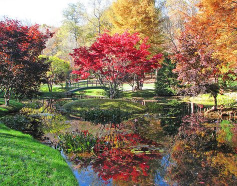 November @ Gibbs Gardens | por Vicki's Nature Things To Do In Georgia, Game Garden, Gibbs Gardens, Arched Bridge, Callaway Gardens, Atlanta Botanical Garden, Piedmont Park, Event Room, Georgia Travel